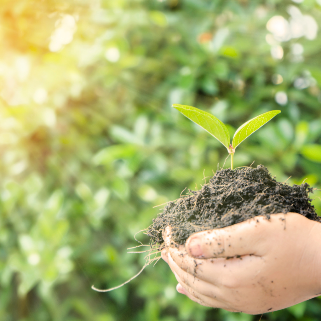 Waarom jouw potentieel ontgrendelen met Human Design?