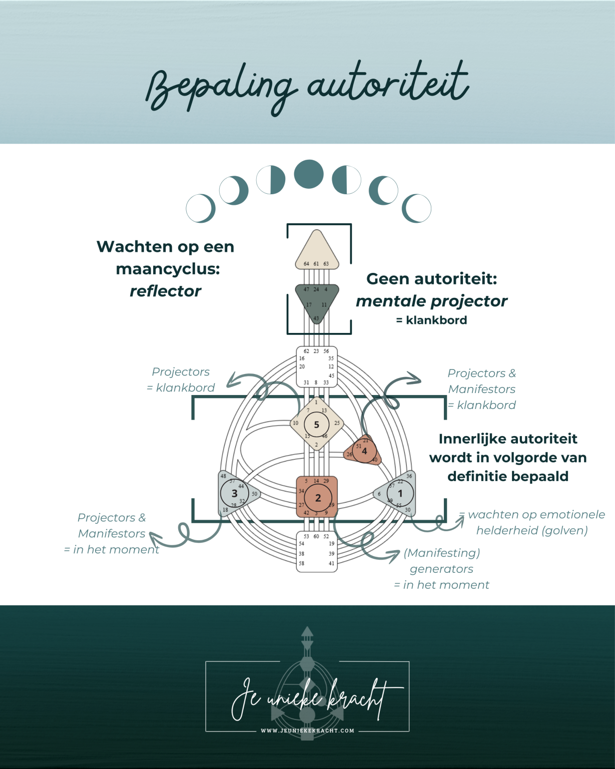 Je autoriteit in HD: hoe maak je keuzes